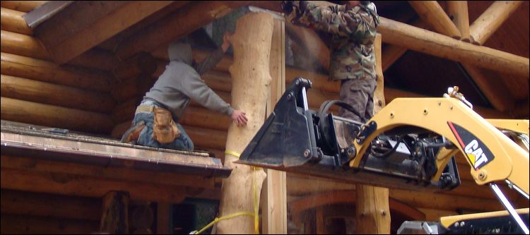 Log Home Log Replacement  Camp Dennison, Ohio